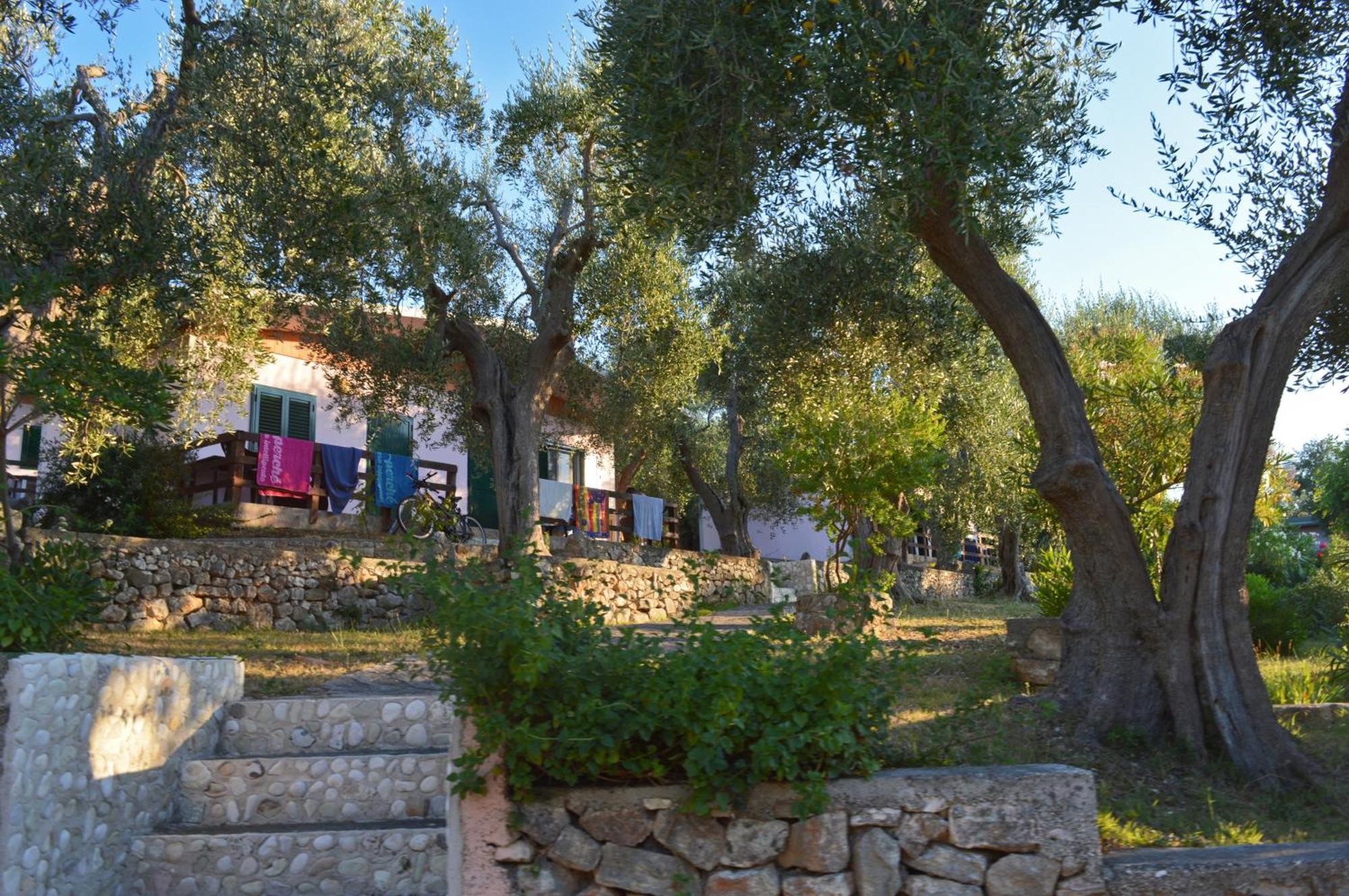 Villaggio Uliveto Роди Гарганико Екстериор снимка